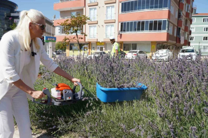 60 ülkeden 381 proje arasında Bilecik ve İstanbul yer aldı
