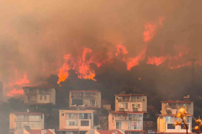İzmir’de makilik alandaki yangın kontrol altında
