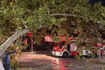 Tramvay hattına düşen dal seferleri aksattı
