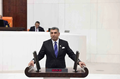 Milletvekili Erol: "NATO Zirvesi, Türkiye’nin uluslararası alandaki devlet tecrübesini bir kez daha ortaya koyacaktır"
