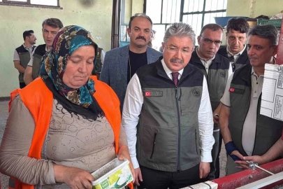Eskişehir’den yangın bölgelerine gönderilen milyonlarca fidan ’nefes’ olacak
