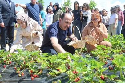 Başkan Altay, 2027 yılı tarımsal destek başvurularının 1 Temmuz’da başlayacağını duyurdu
