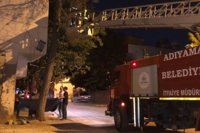 Ağaçta mahsur kalan kediyi itfaiye ekipleri kurtardı
