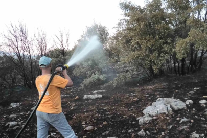 Orman yangını korkuttu
