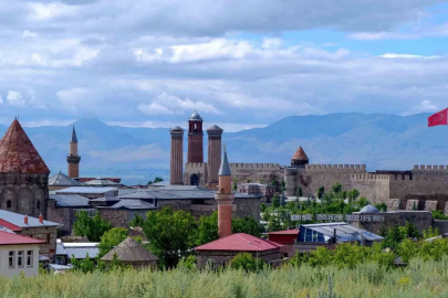 İşte Erzurum’a dair dikkat çeken rakamlar
