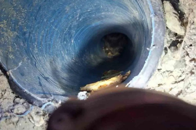 Kuyuya düşen yavru köpek kurtarıldı
