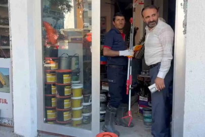 Adilcevaz’da iş yerine giren yılan ekipleri harekete geçirdi
