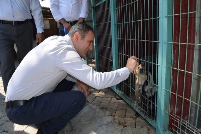 Bayındır’da hayvan bakım evi ve doğal yaşam alanında inceleme
