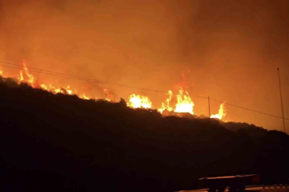 İzmir’de makilik alanda yangın
