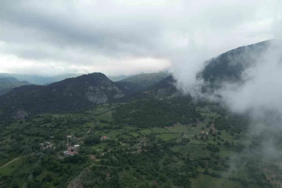 Amasya’da ormanlık alanlara girişler yasaklandı
