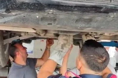 Osmaniye’de otomobilin motoruna sıkışan yavru kedi kurtarıldı
