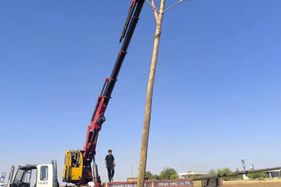 Anız yangınları enerji altyapısını da tehdit ediyor
