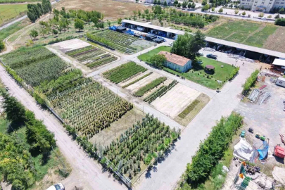 Battalgazi Belediyesi parklarda kendi üretimini kullanıyor
