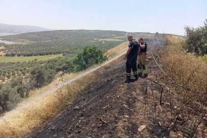 Altınözü’de anız yangını
