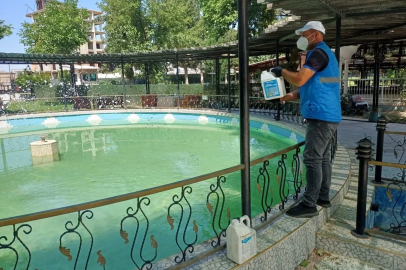 Adıyaman Belediyesi’nden üvez ve sivrisineğe karşı kesintisiz mücadele
