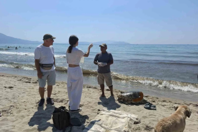 Üremek için geldikleri kıyılarda 3 caretta caretta ölü bulundu
