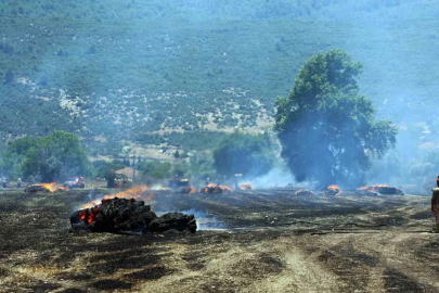 Tonlarca saman balyası yandı

