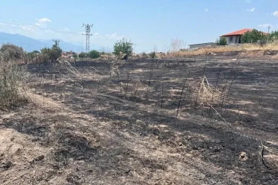 Otluk alanda çıkan yangın büyümeden söndürüldü
