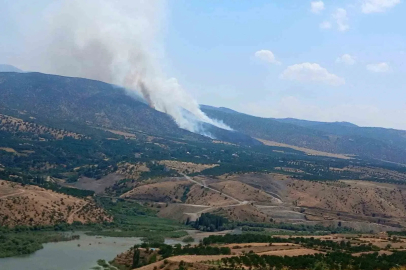 Pütürge’de orman yangını
