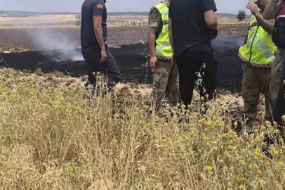 Siirt’te anız yangını
