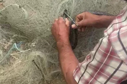 Balık ağında mahsur kılan yılanı elleriyle kurtardı
