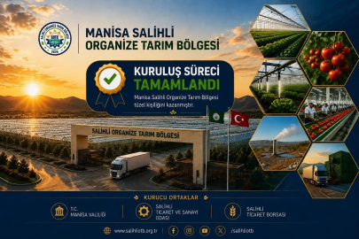 Jeotermal seracılıkta Manisa atağa geçti
