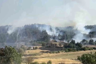 Balıkesir’de orman yangınına müdahale sürüyor
