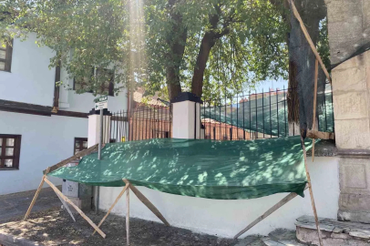 Dökülen dutlar için ağlı önlem
