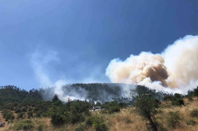 Balıkesir Kepsut’ta orman yangını
