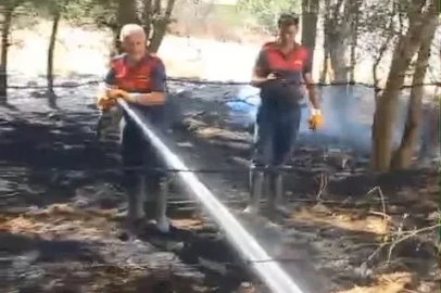 Elazığ’da örtü yangını
