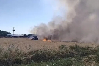 Elazığ’da arazi yangını

