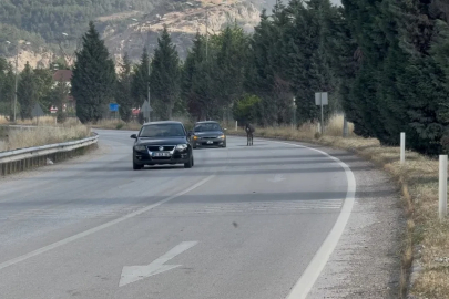 Kara yoluna çıkan eşek trafiği tehlikeye düşürdü

