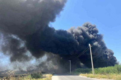 İzmir’de geri dönüşüm fabrikasında korkutan yangın
