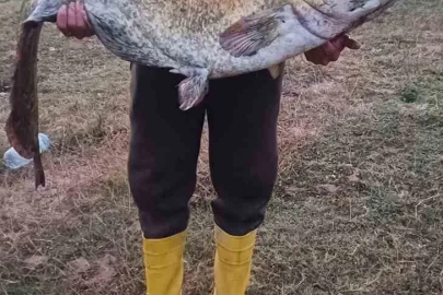 Barajın devi oltaya takıldı: 35 kiloluk yayın balığı yakaladı
