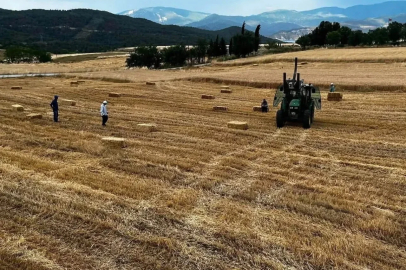 Sinop’ta yılın ilk buğdayları hasat edildi
