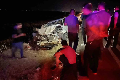 Siverek’te otomobil koyun sürüsüne daldı: 3 kişi yaralandı, 11 koyun telef oldu
