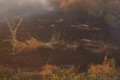 Anız yangını tarım arazileri ve ormanlık alana sıçramadan söndürüldü
