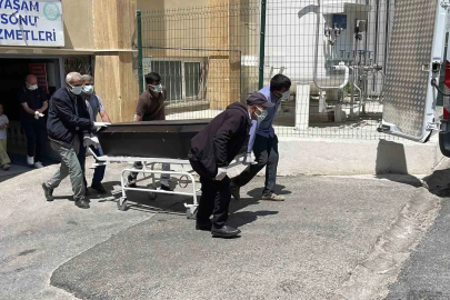 Kene tutunması sonrası 7. ölüm
