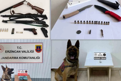 Erzincan’da Haziran ayında 217 olayın yüzde 98’i aydınlatıldı

