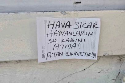 Sokak hayvanlarının su kabını atanlara ilginç tepki: "Atan zındıktır"
