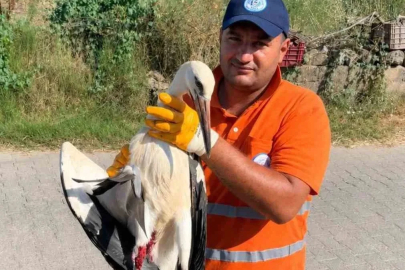 Temizlik personelinin duyarlılığı yaralı Leyleğe umut oldu
