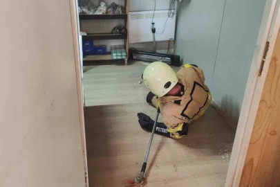 İş yerine giren yılan paniğe neden oldu
