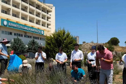 Lavanta kokulu okulda hasat heyecanı yaşandı
