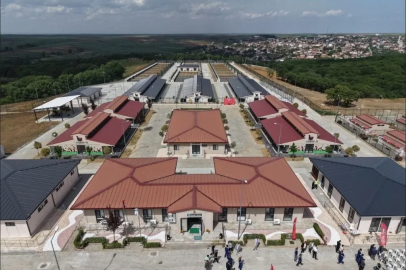 Tekirdağ’da 5 binden fazla sahipsiz hayvana umut oldular
