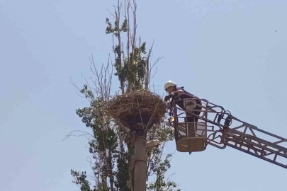 İpe dolanan leyleğin yardımına itfaiye yetişti
