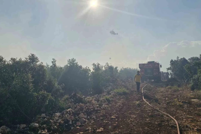 Gaziantep’te çıkan orman yangını havadan ve karadan müdahaleyle söndürüldü
