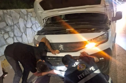 Van’da kamyonetin çarptığı köpeği kurtardı
