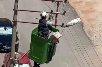 Elektrik tellerine takılan kuş kurtarıldı
