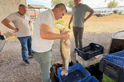 Beyşehir Gölü’nde avlanan balıklar tek tek kontrol edildi
