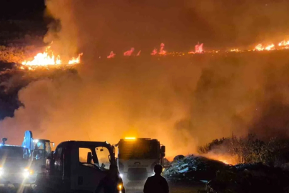 Bodrum’da makilik alanda yangın
